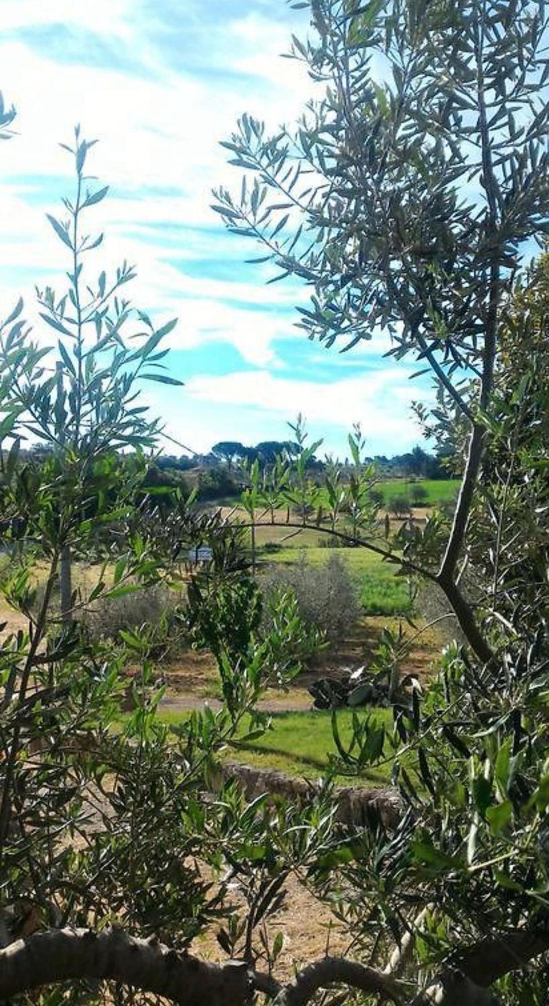 La Mandriana Villa Massa Marittima Exterior photo