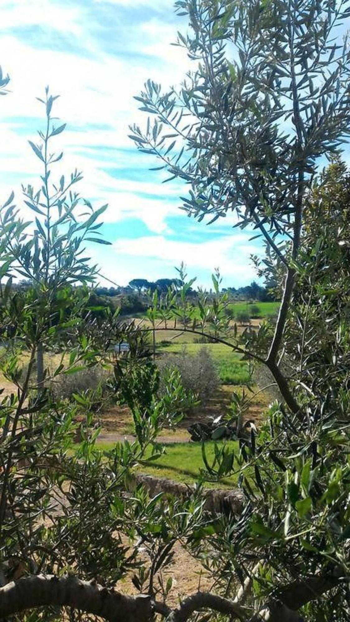 La Mandriana Villa Massa Marittima Exterior photo